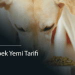 Evde Köpek Yemi Tarifi